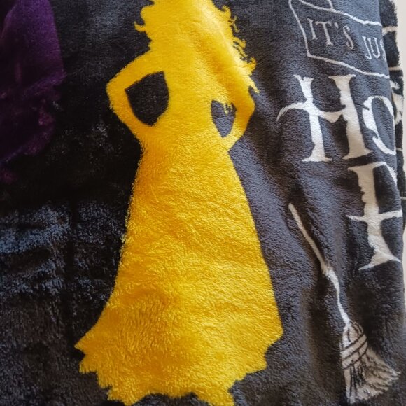 Disney Halloween Hocus Pocus Sanderson Sisters Plush Throw Blanket 50" x 70" - Picture 2 of 10